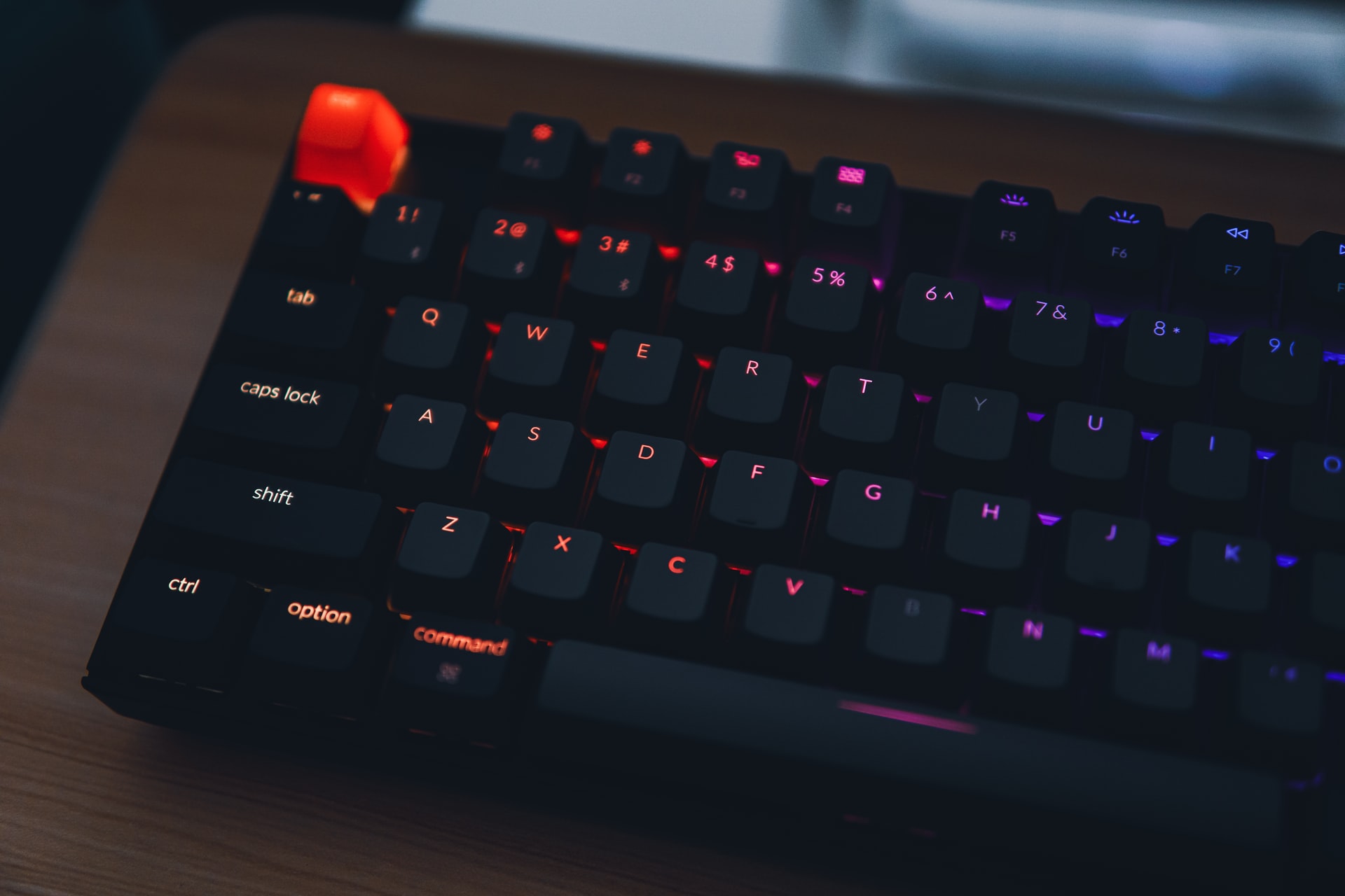 Photo by Michelle Ding on Unsplash