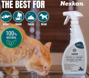 Nexkan Stain & Odor Eliminator