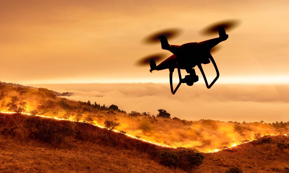 The Role Of Technology In Predicting And Managing Wildfires