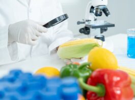 A person holding an ear of corn and looking at it with a magnifying glass. There are other fruits on the table.