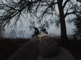 Immersive Survival – The Path Into The Abyss Demo