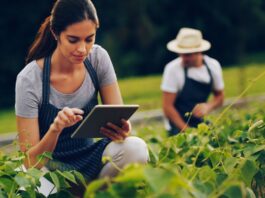 Young woman crouches and uses a tablet in a farm to monitor crop health, showcasing smart farming technology.