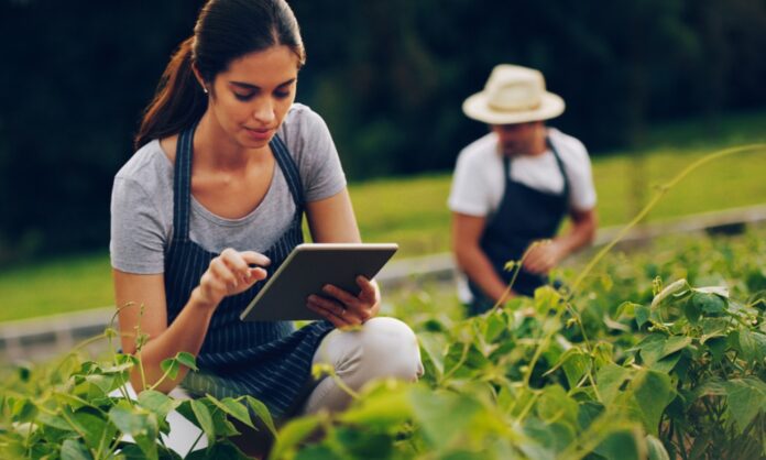 Young woman crouches and uses a tablet in a farm to monitor crop health, showcasing smart farming technology.